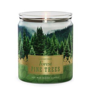 GOOSE CREEK Forest Pine Trees Candle NWT